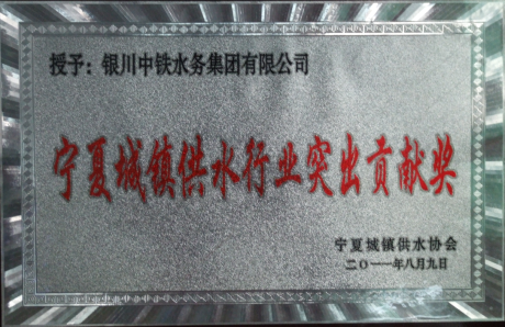 宁夏城镇供水行业突出贡献奖