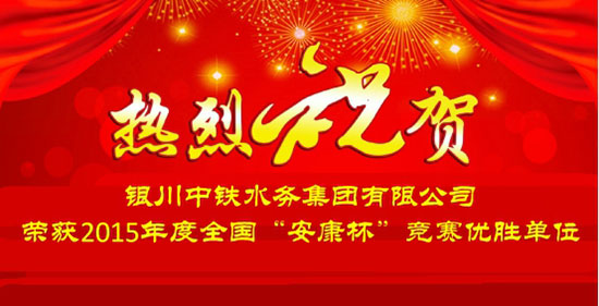 热烈祝贺集团公司荣获2015年度